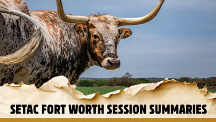 SETAC Forth Worth session summaries thumbnail featuring longhorn