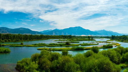 Pristine Idaho nature with mountains in the background 