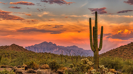 Sonoran sunset, Phoenix